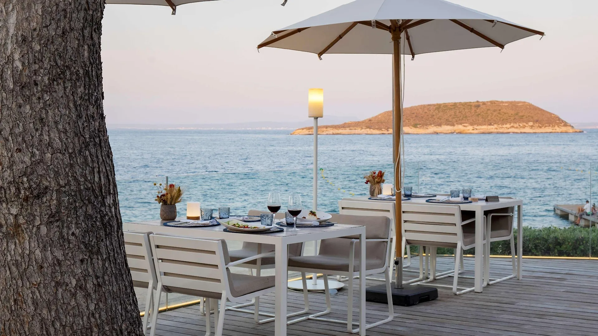 Melia Calvia Beach Magalluf Hotel