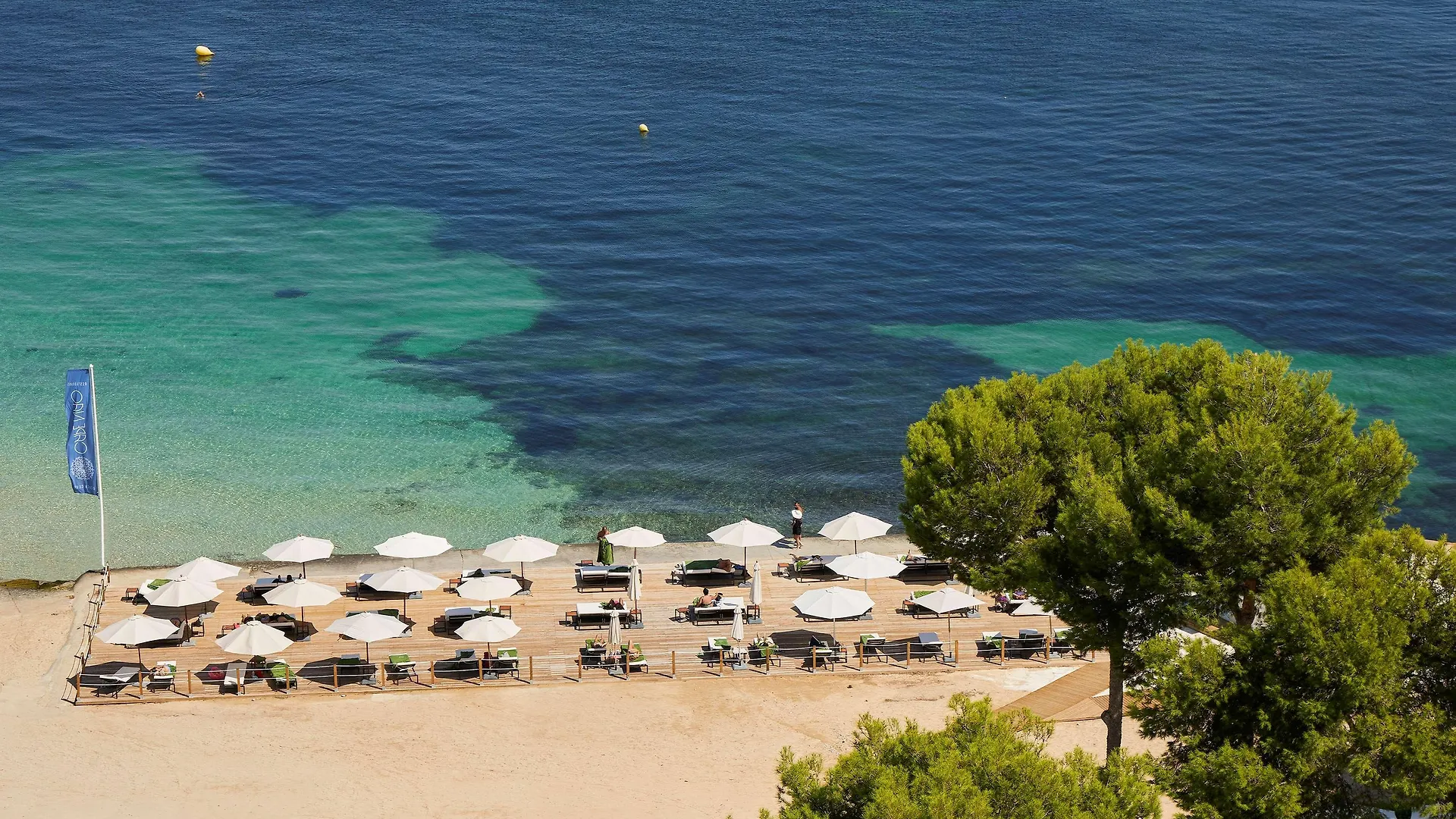 Melia Calvia Beach Magaluf  4*, Magaluf (Mallorca)
