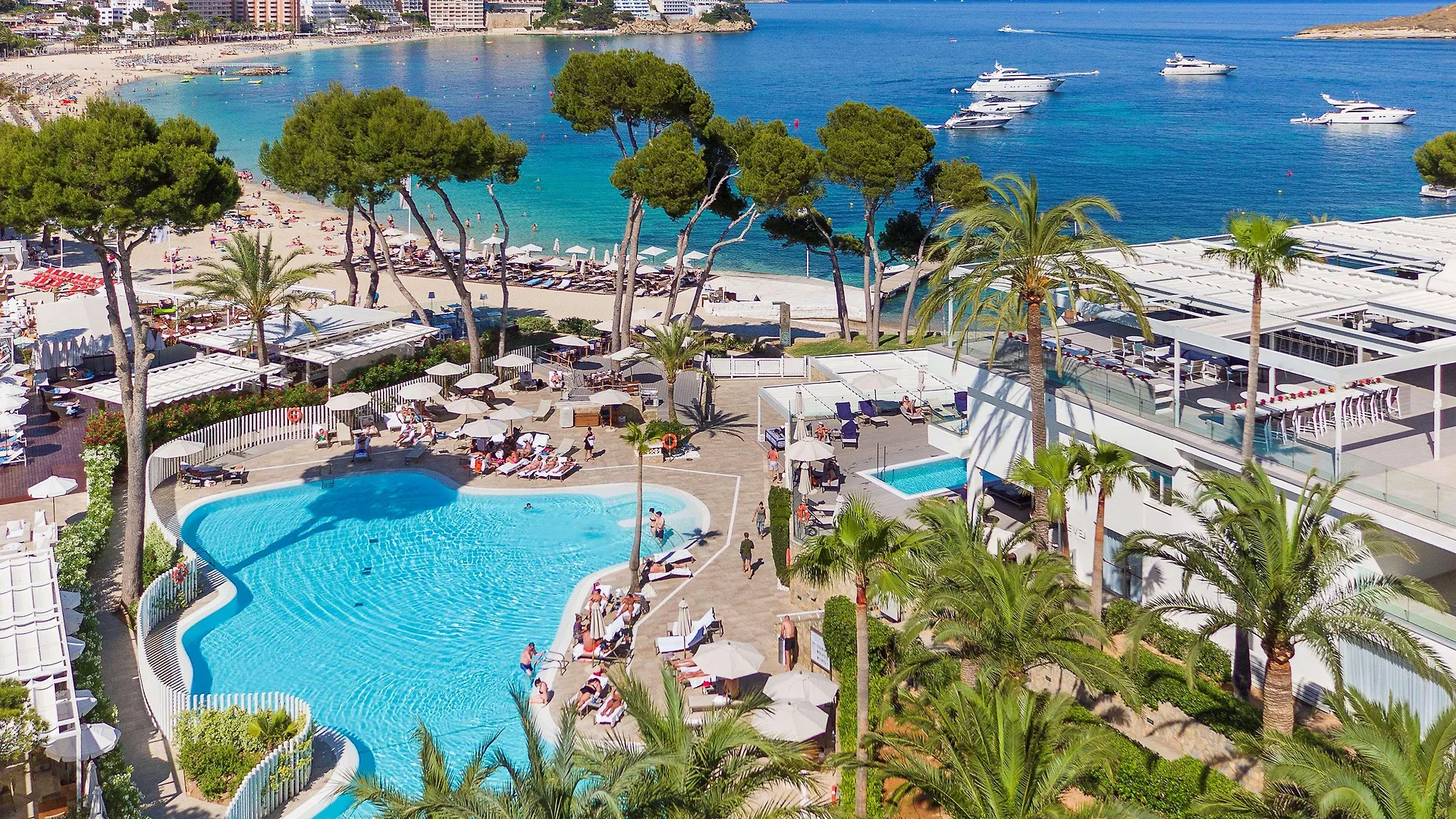 Hotel Melia Calvia Beach Magaluf