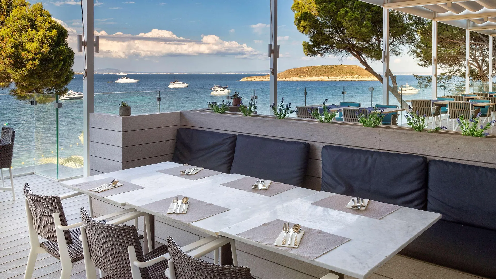 **** Hotel Melia Calvia Beach Magaluf  Spain