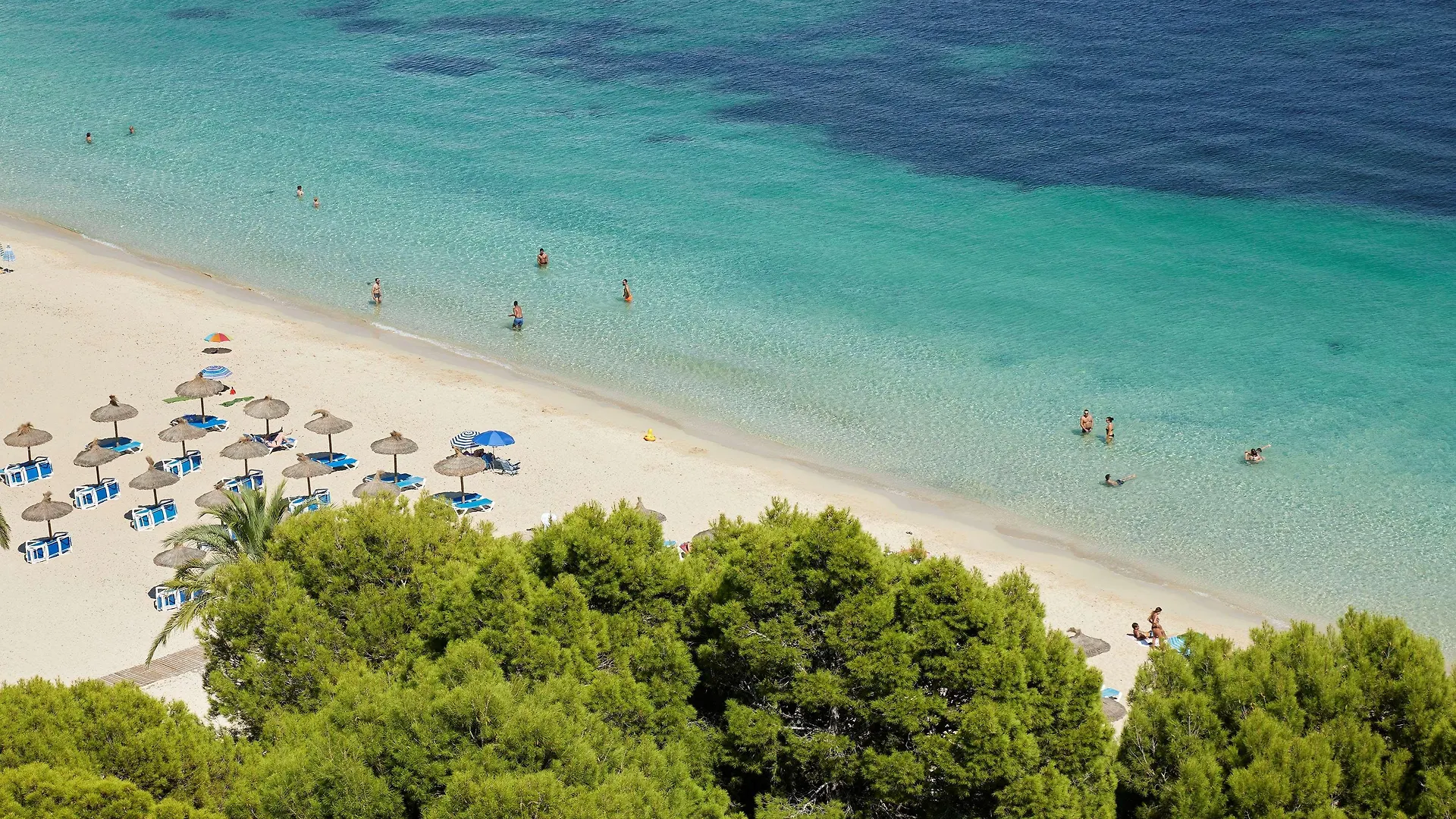 Melia Calvia Beach Magaluf  Magaluf (Mallorca)