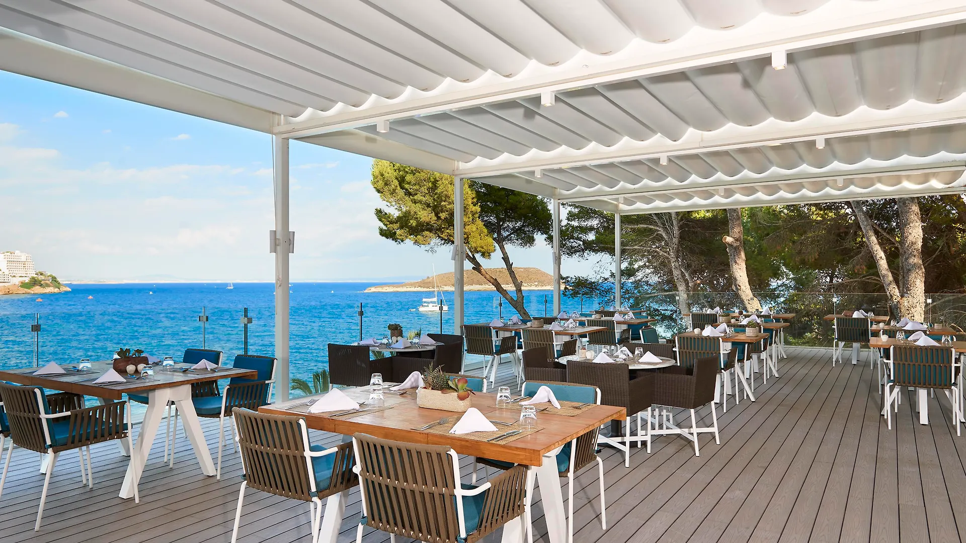 Melia Calvia Beach Магалуф Отель